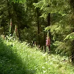 Penzion Waldesblick Friedrichroda