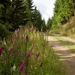 Waldesblick 4* Friedrichroda