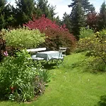 Waldesblick