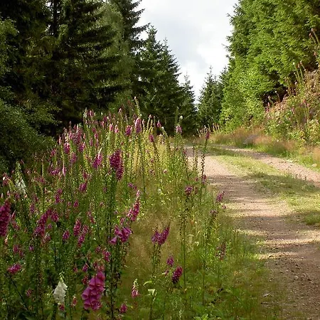 Waldesblick 4* Friedrichroda