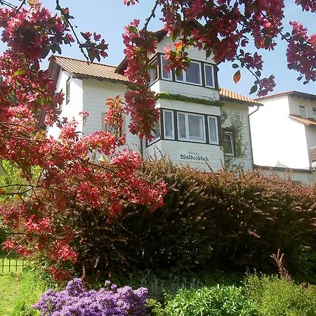 Waldesblick Guest house 4*