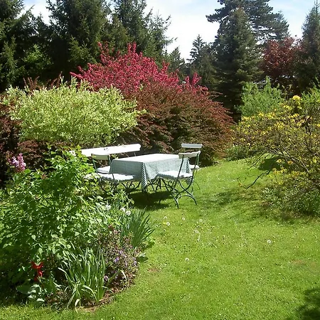 Waldesblick