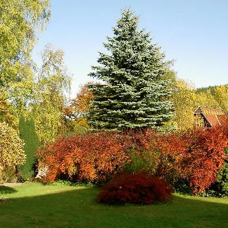 Guest house Waldesblick