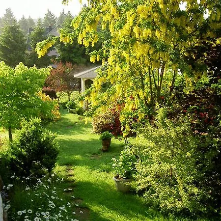 Waldesblick