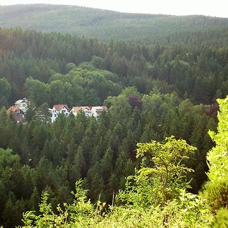 Waldesblick Friedrichroda