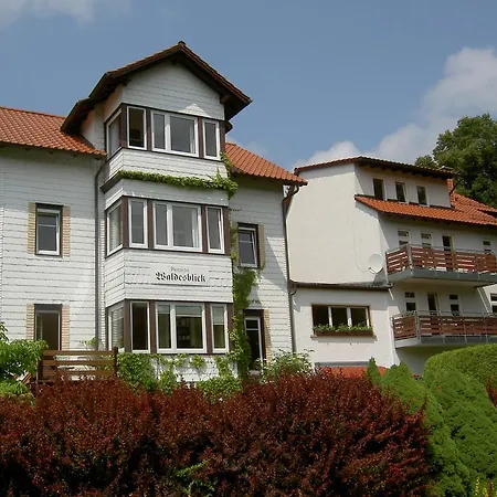 Guest house Waldesblick 4*