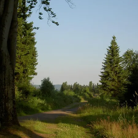 Guest house Waldesblick
