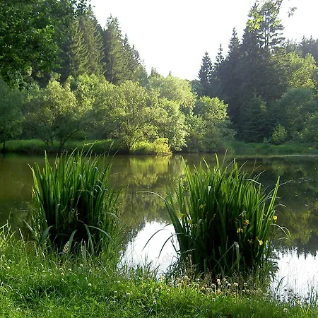 Waldesblick Friedrichroda