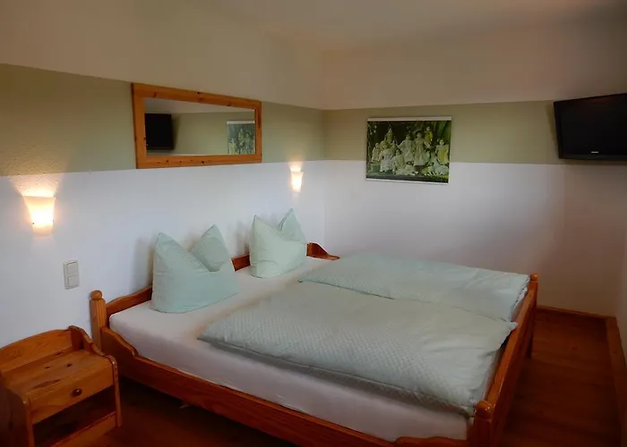 Waldesblick Friedrichroda