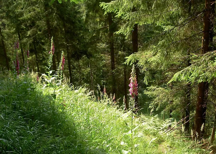 Gæstehus Waldesblick Friedrichroda