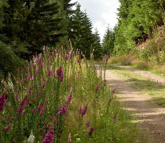 Waldesblick 4* Friedrichroda