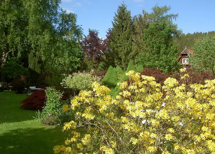 Gæstehus Waldesblick Friedrichroda