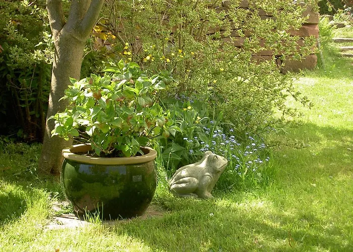 Gæstehus Waldesblick Friedrichroda