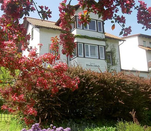 Waldesblick Gæstehus 4*