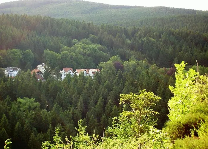 Waldesblick Friedrichroda
