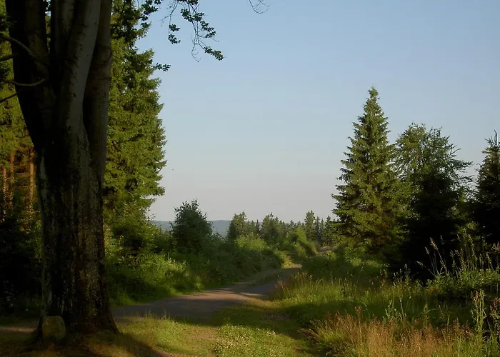 Gæstehus Waldesblick