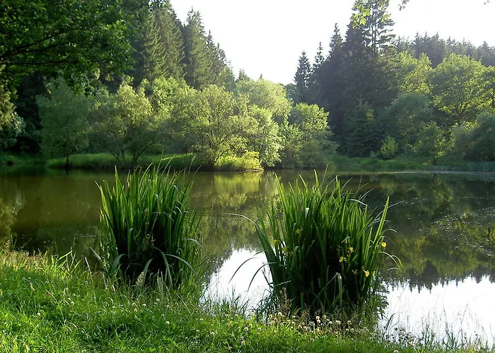 Waldesblick Friedrichroda
